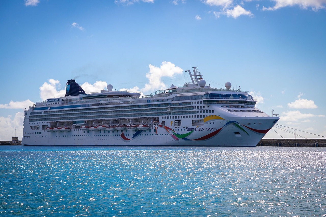 The Environmental Impact of Cruise Tourism